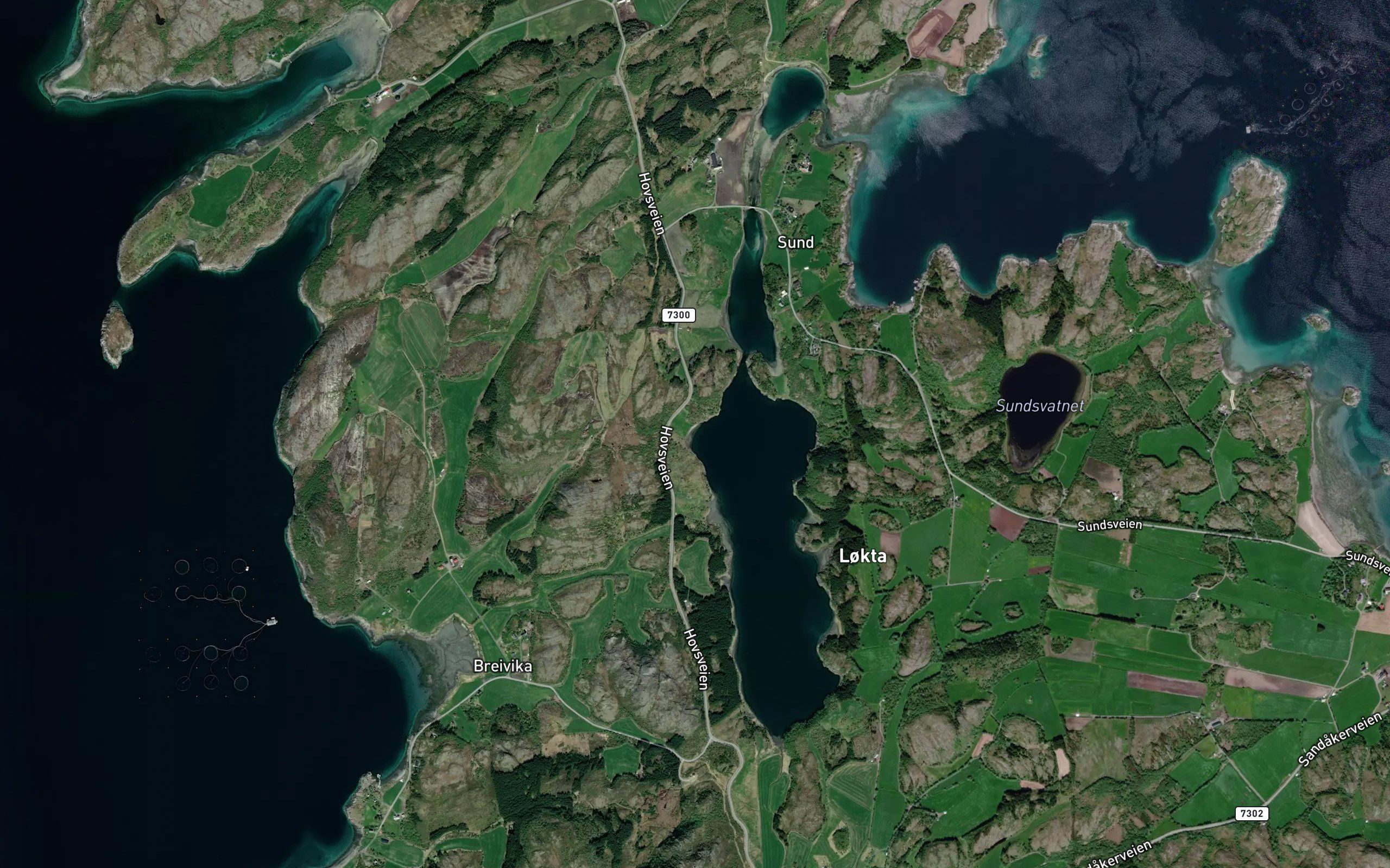 Krongelvikja