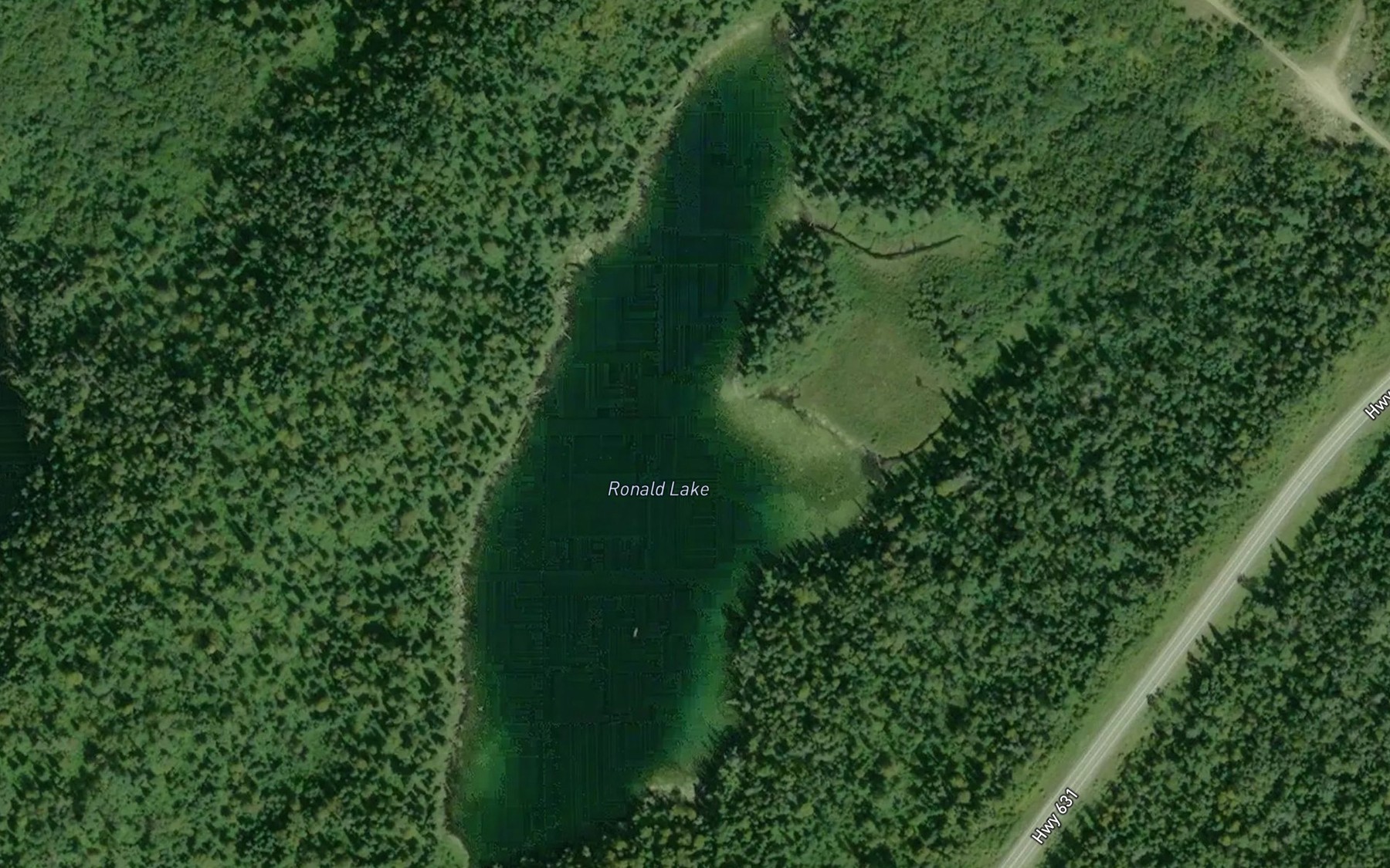 Satellite map of the Ronald Lake