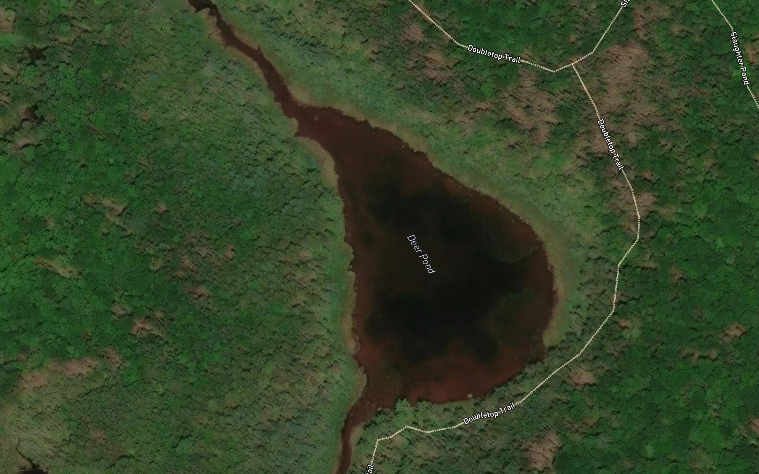 Deer Pond