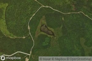 Reed Pond