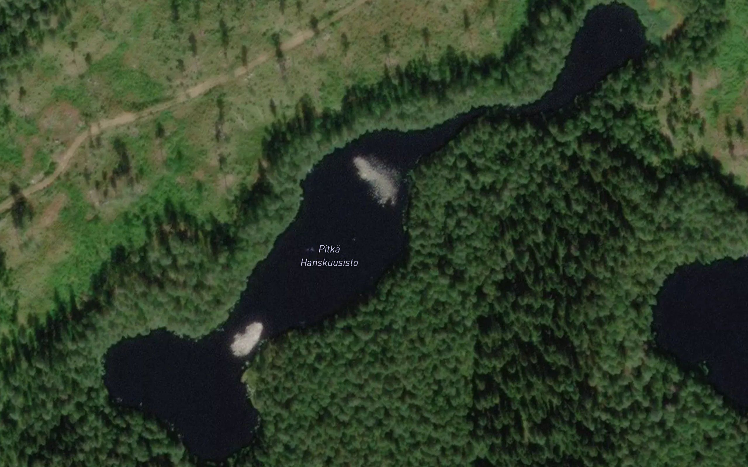 Pitka Hanskuusisto