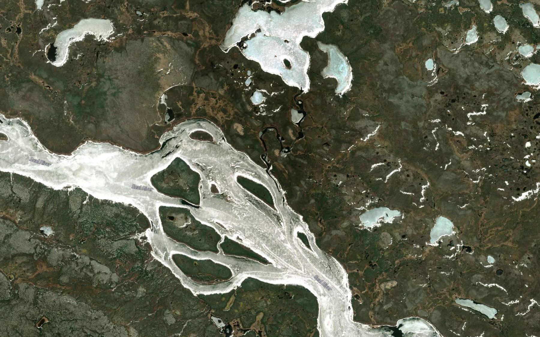 Satellite map of the Allen Creek