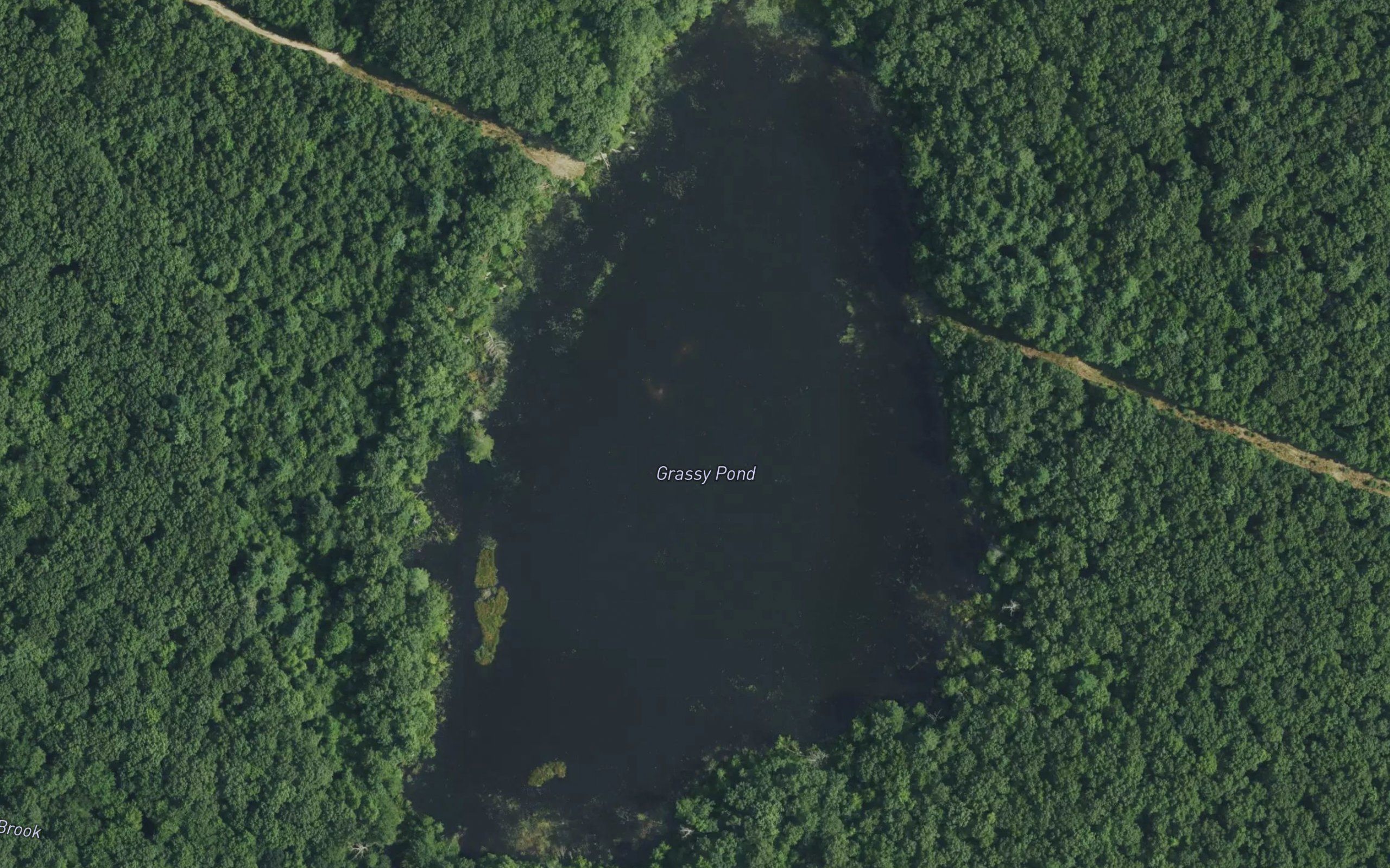 Grassy Pond