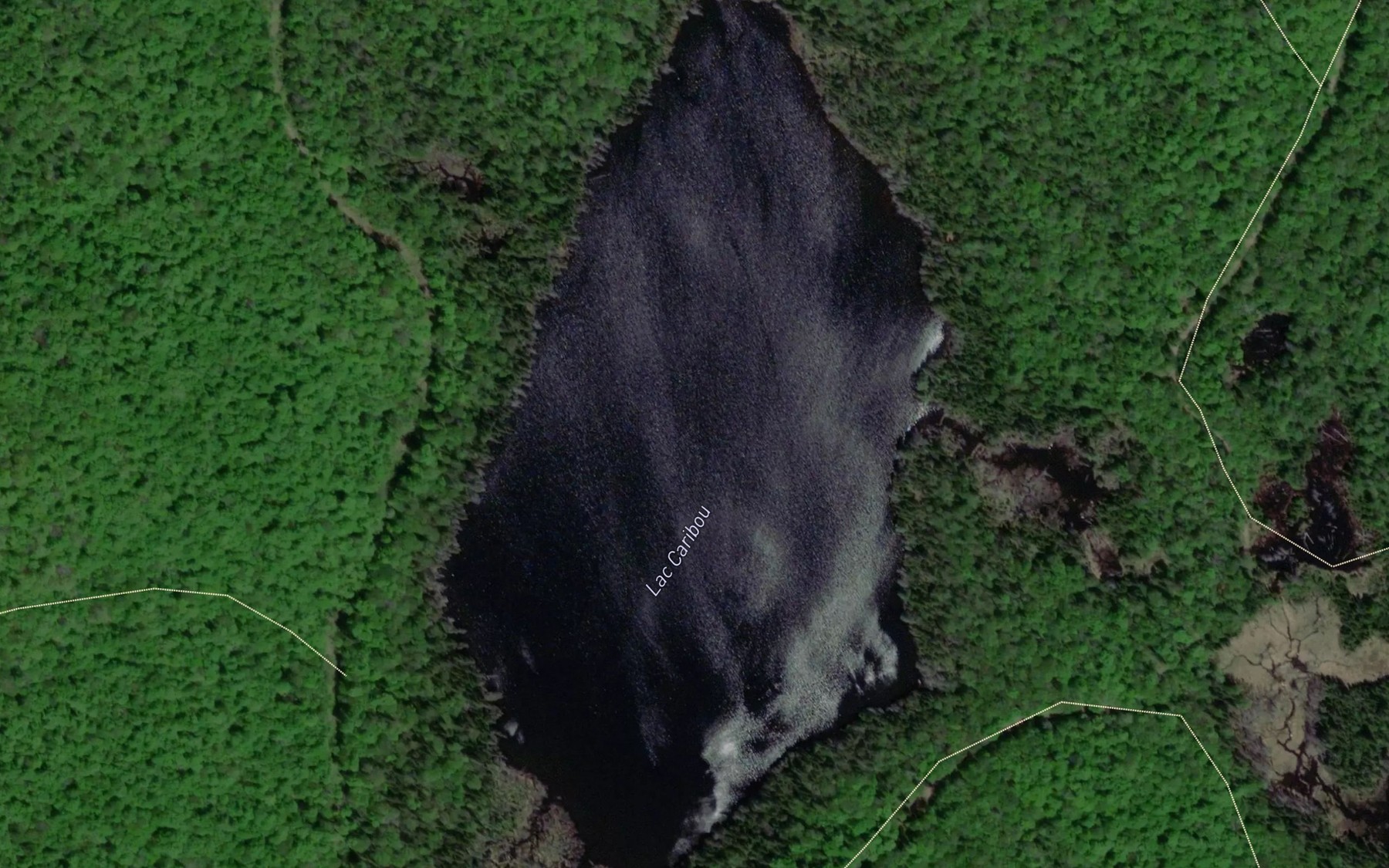 Satellite map of the Lac Caribou