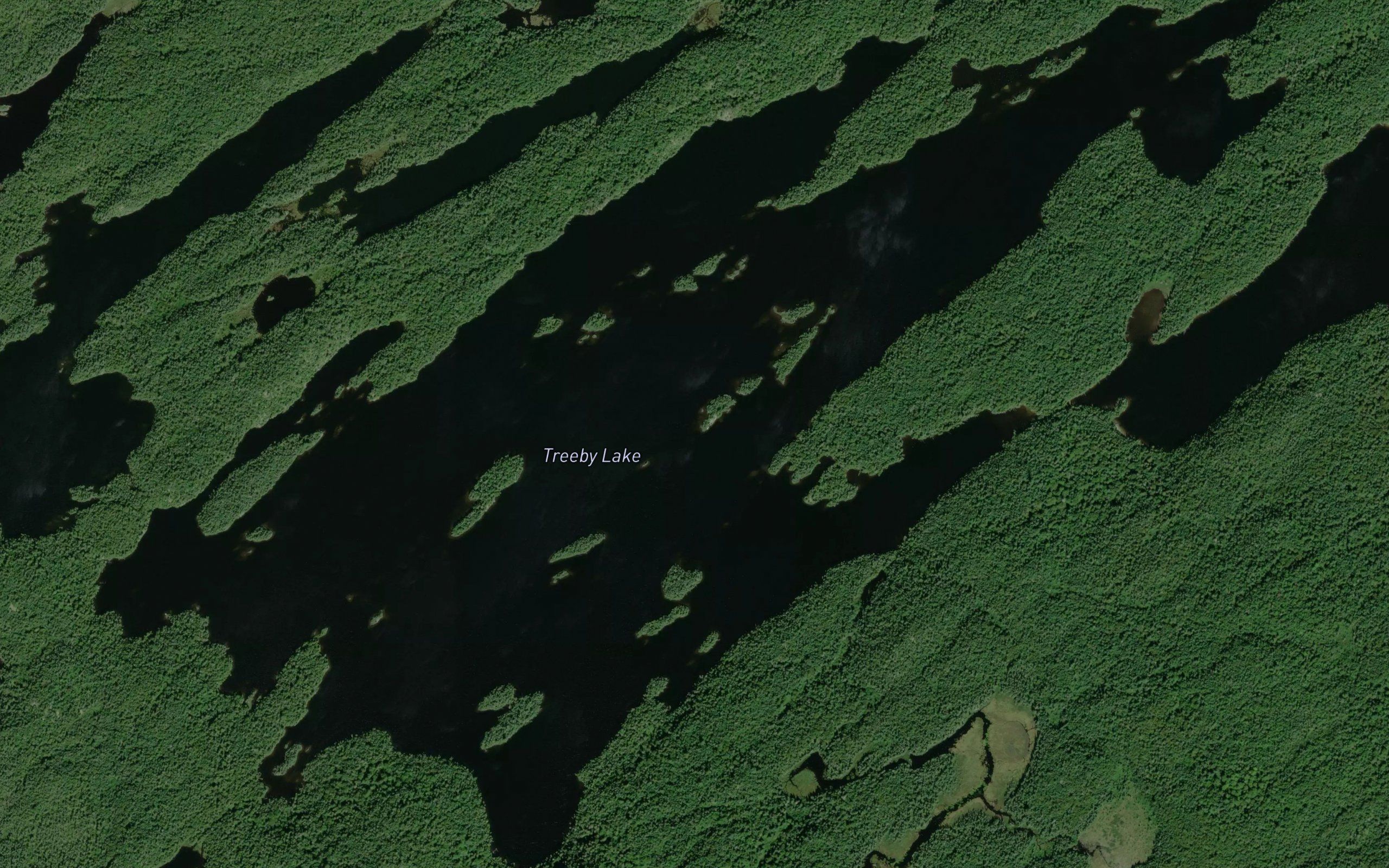 Treeby Lake