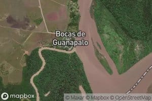 Cano Guanapalo