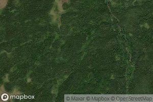 Loon Brook