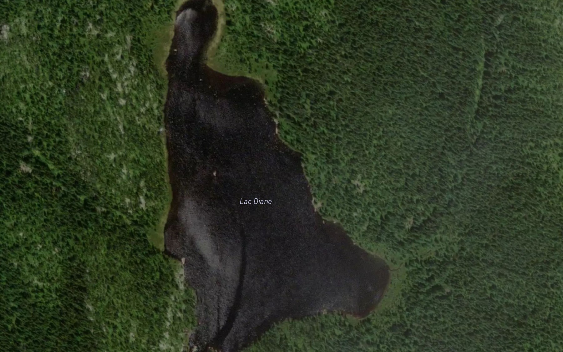 Satellite map of the Lac Diane