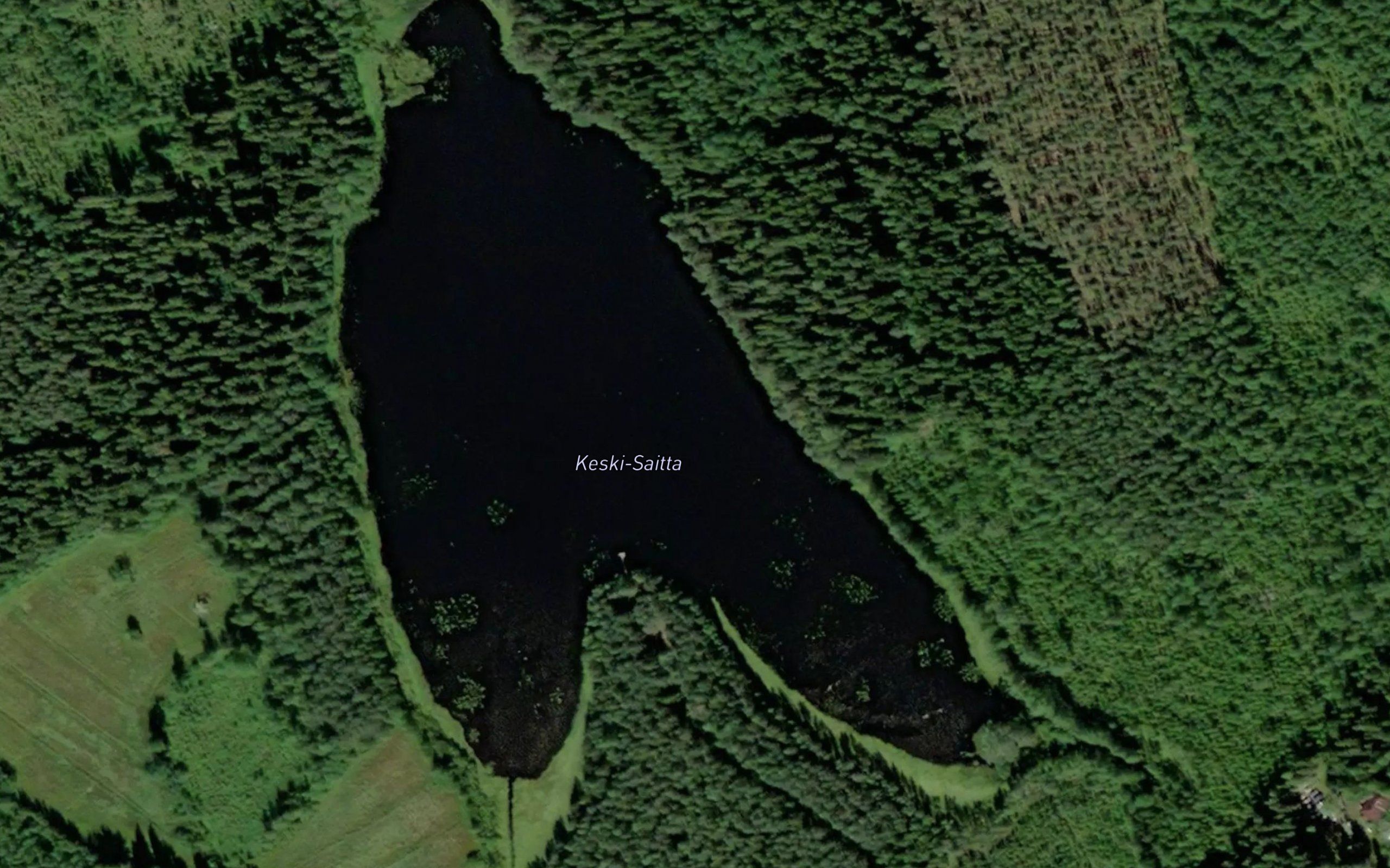 Keski-Saitta