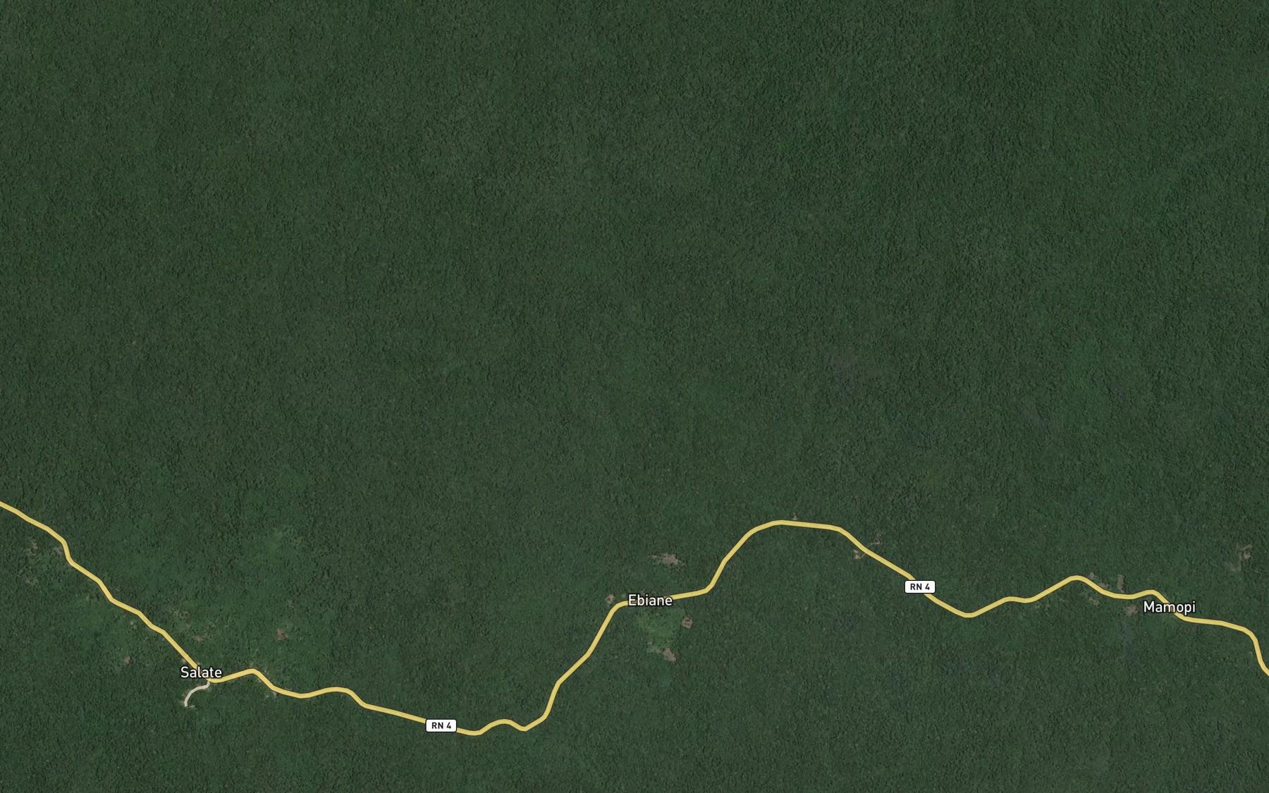 Satellite map of the Ongoya