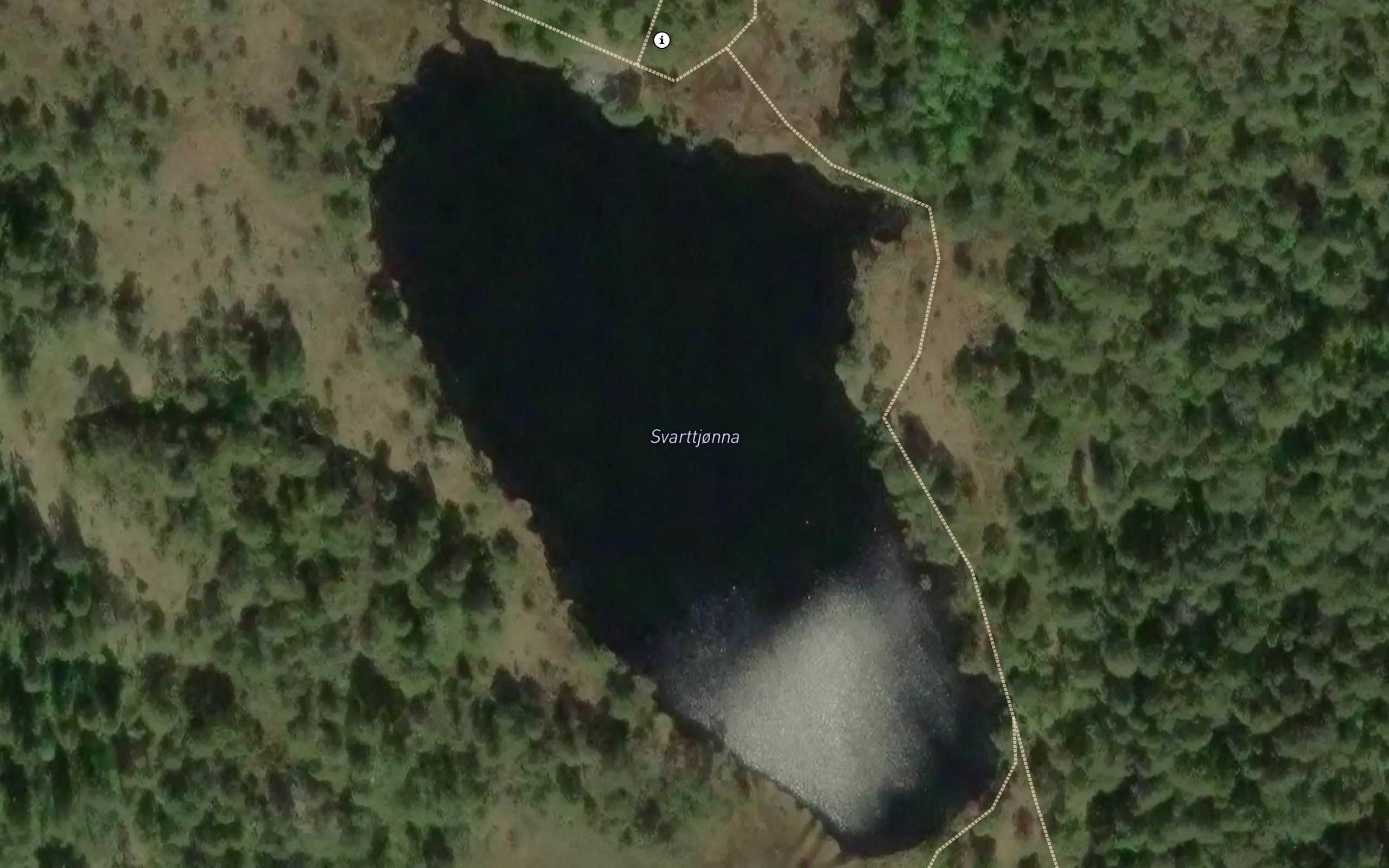 Svarttjonna