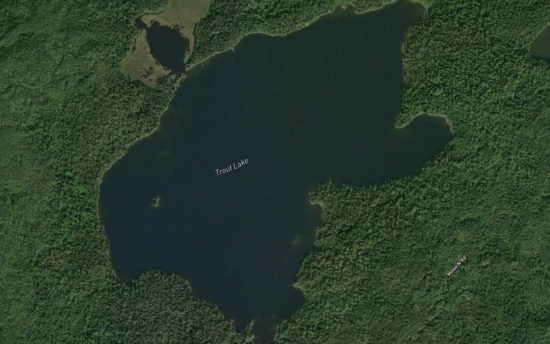 Satellite map of the Trout Lake