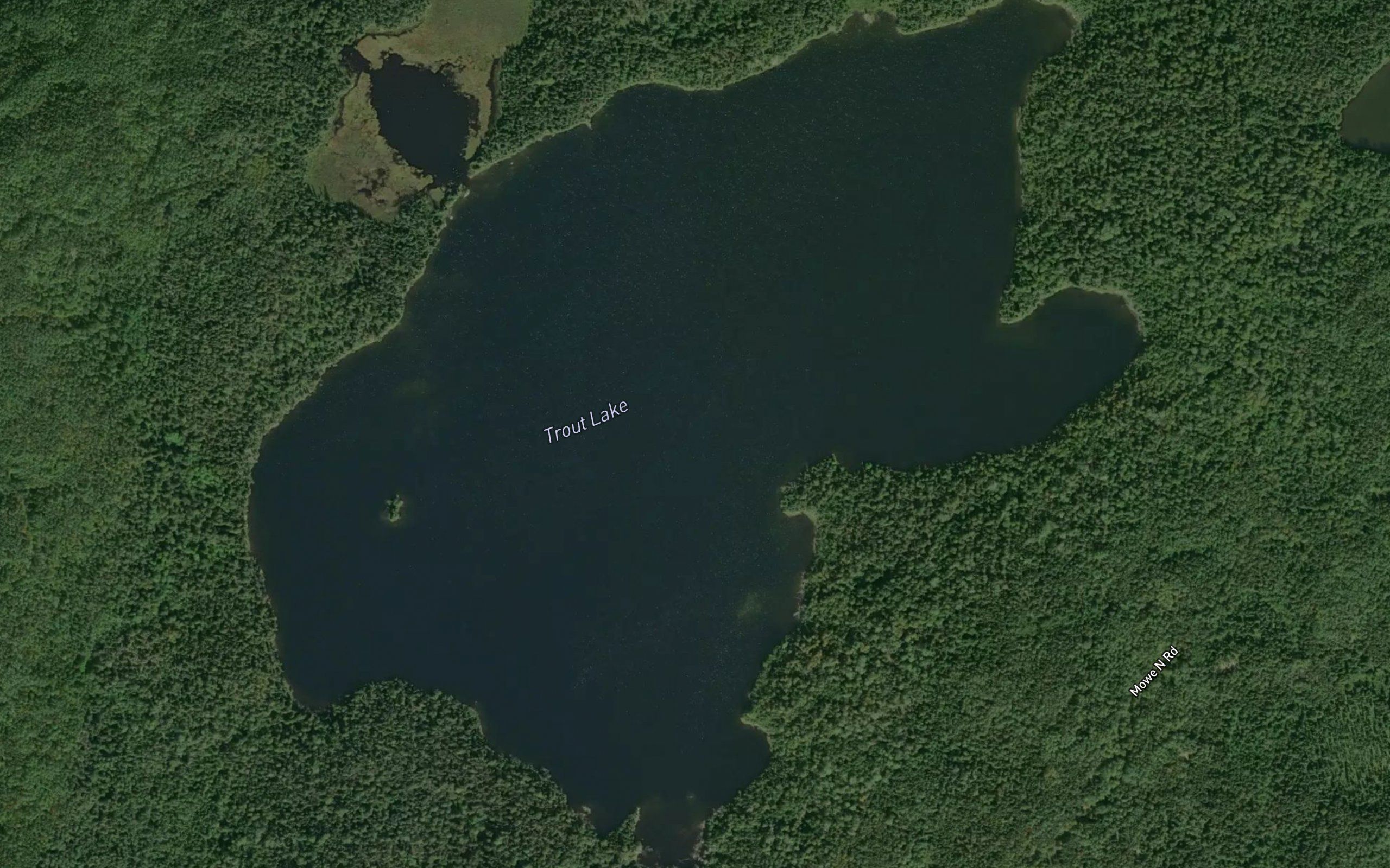 Trout Lake