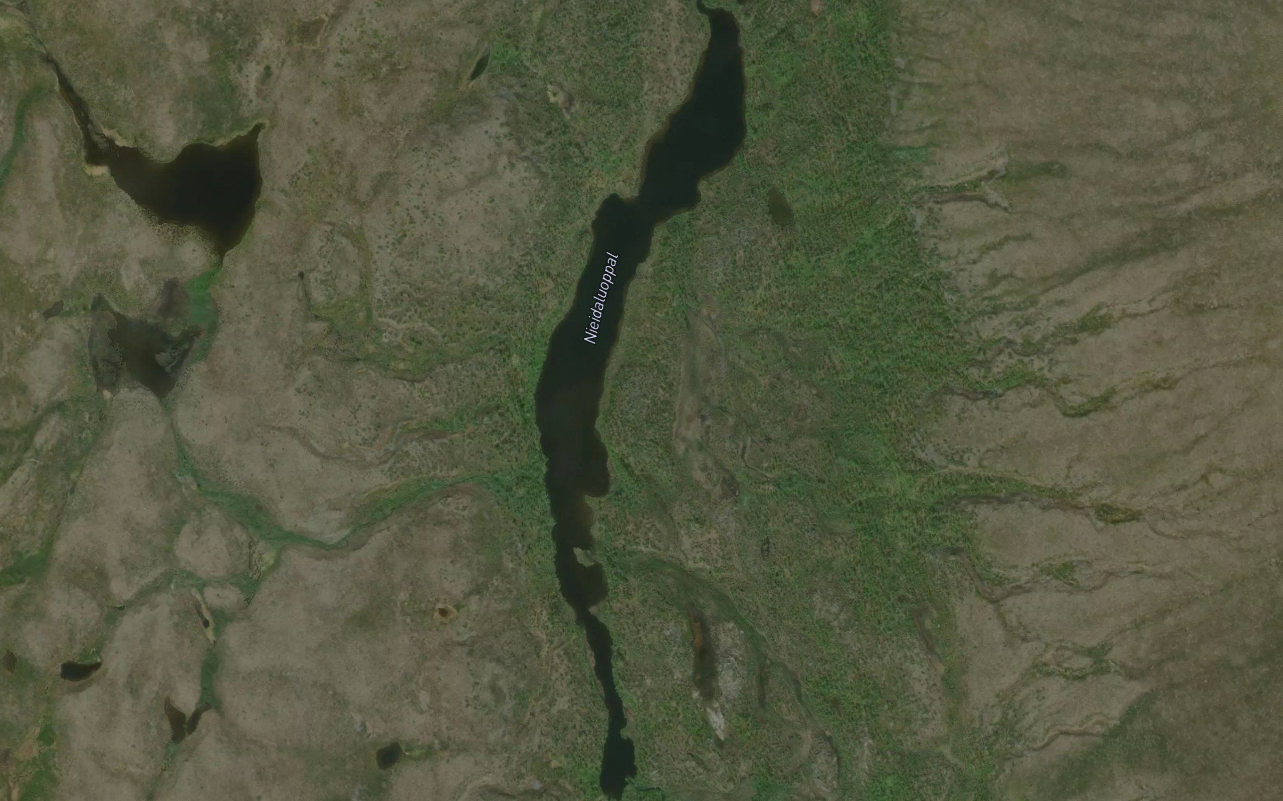 Nieidaluoppal