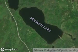 Madwort Lake