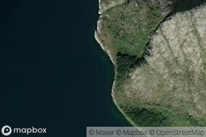 Tavika