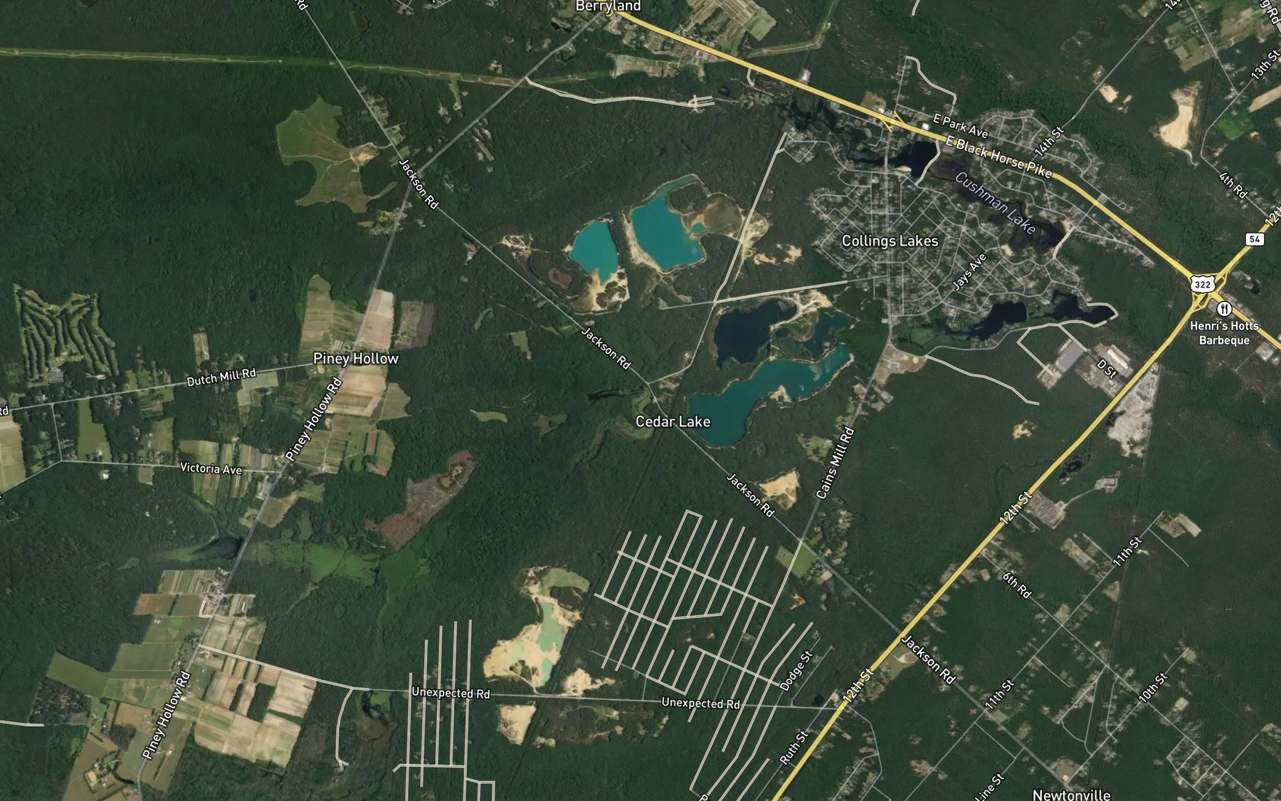 Satellite map of the Lake George