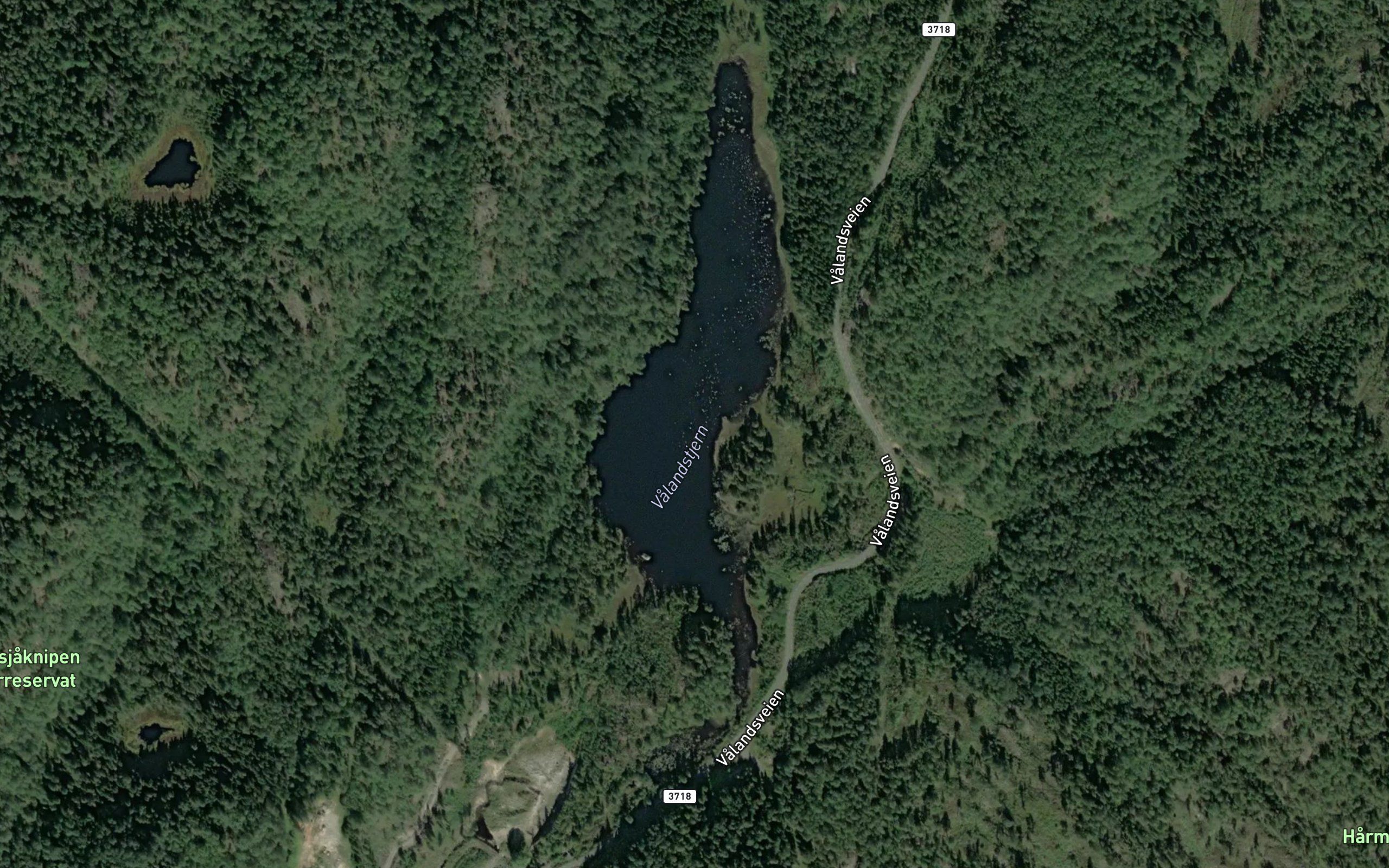 Valandstjern