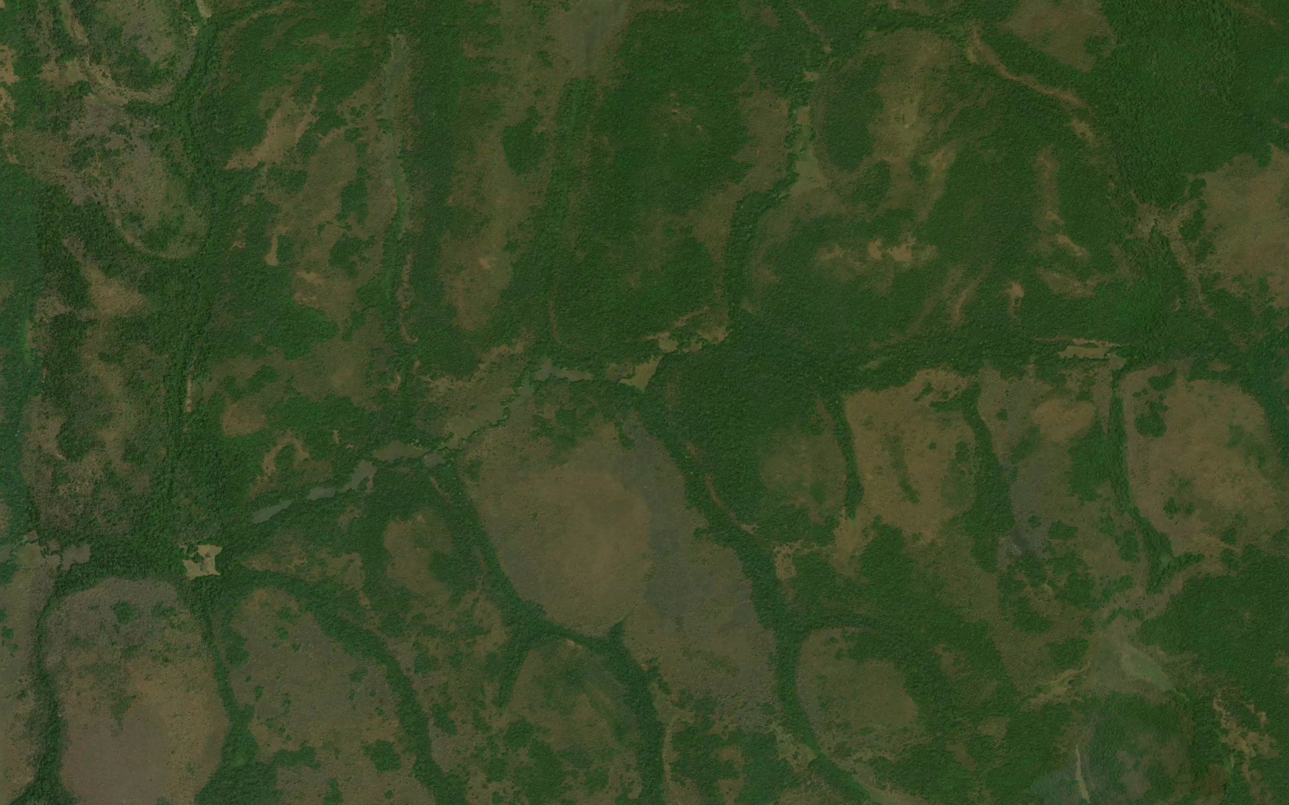 Diagungu