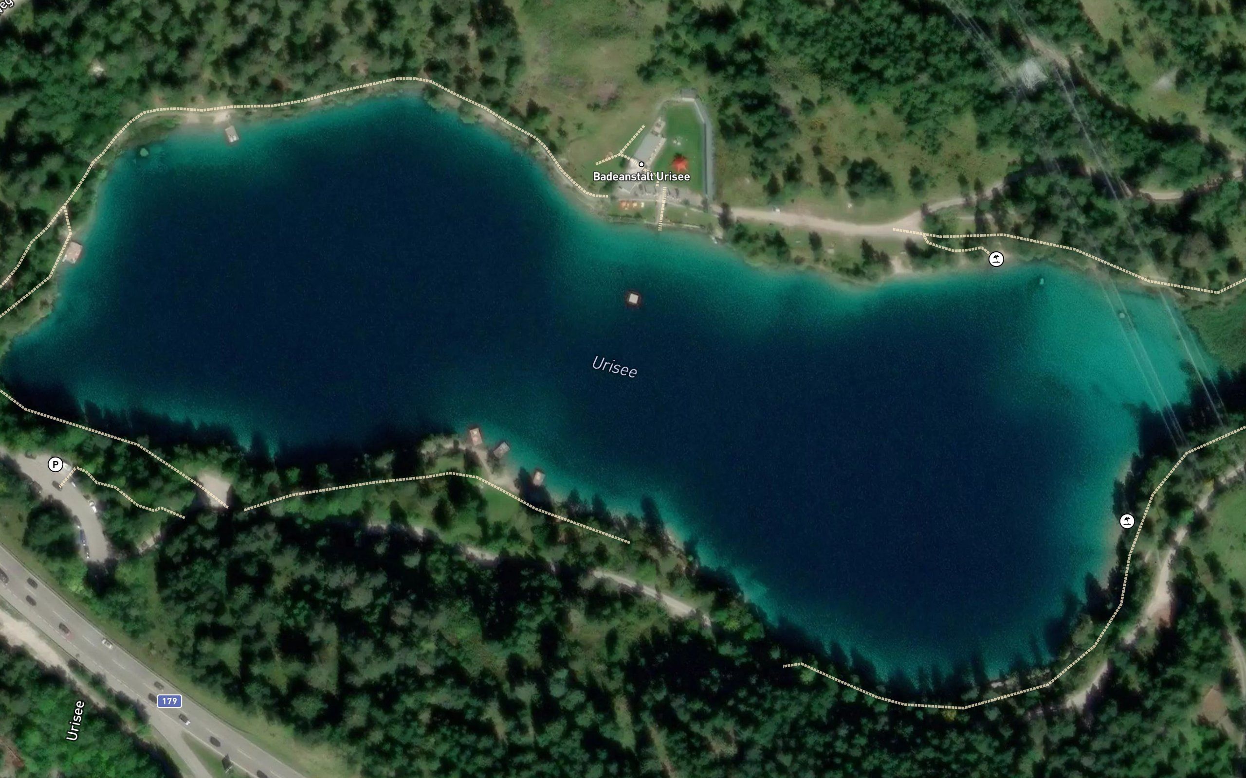 Urisee