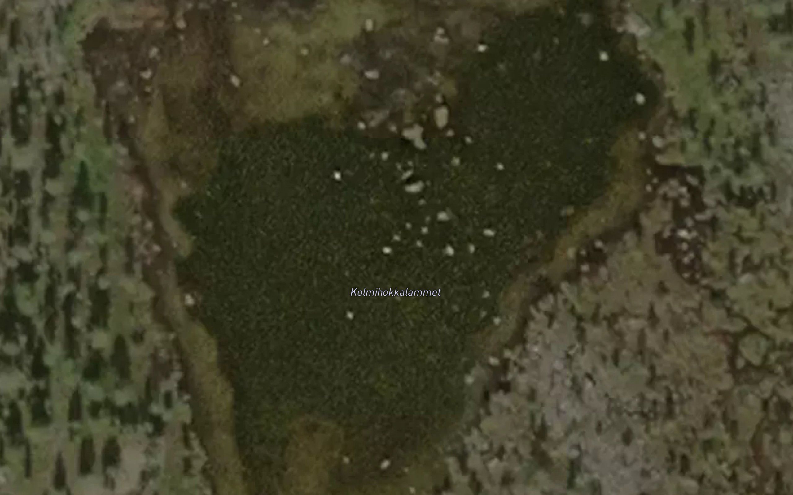 Kolmihokkalammet