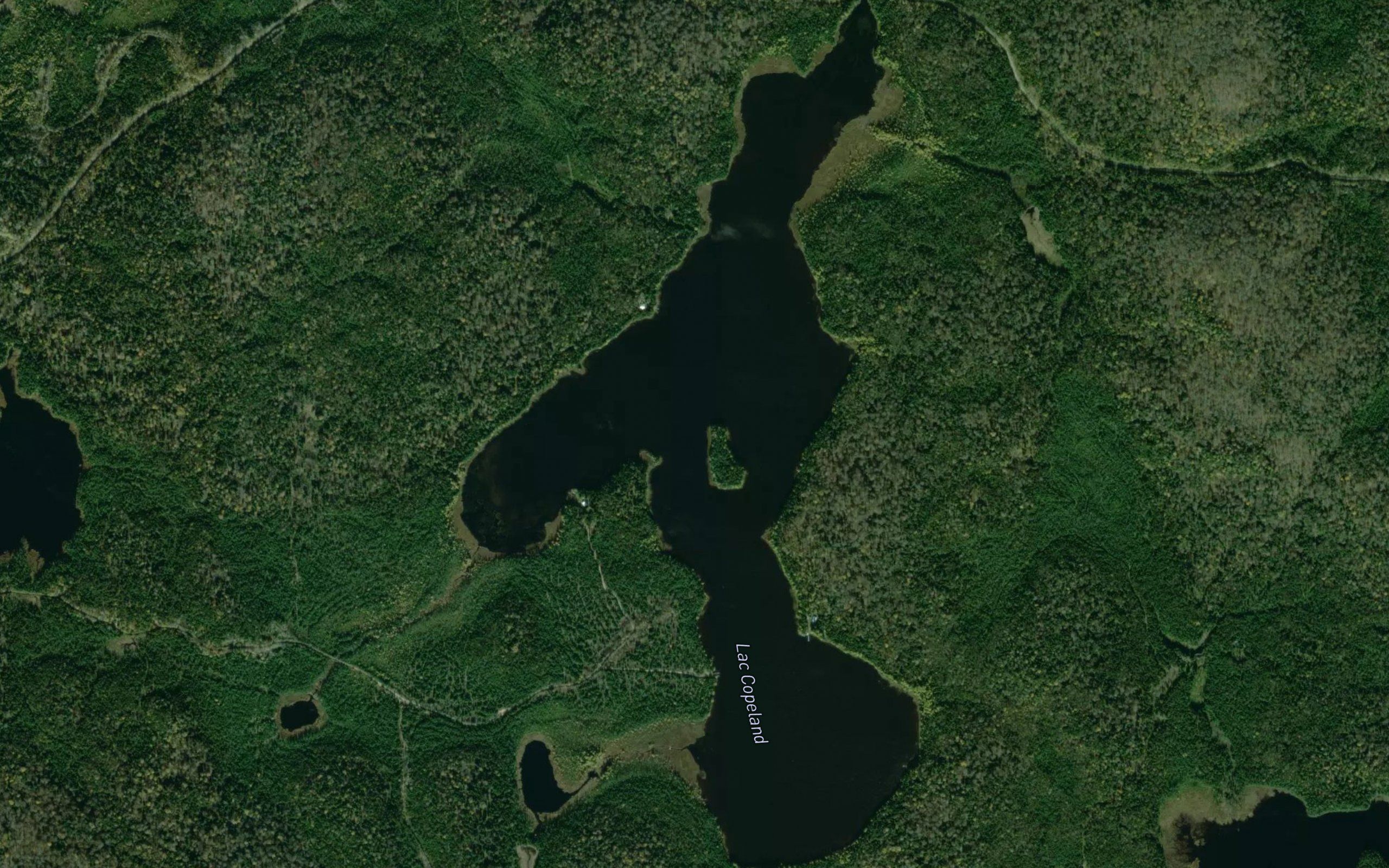 Lac Copeland