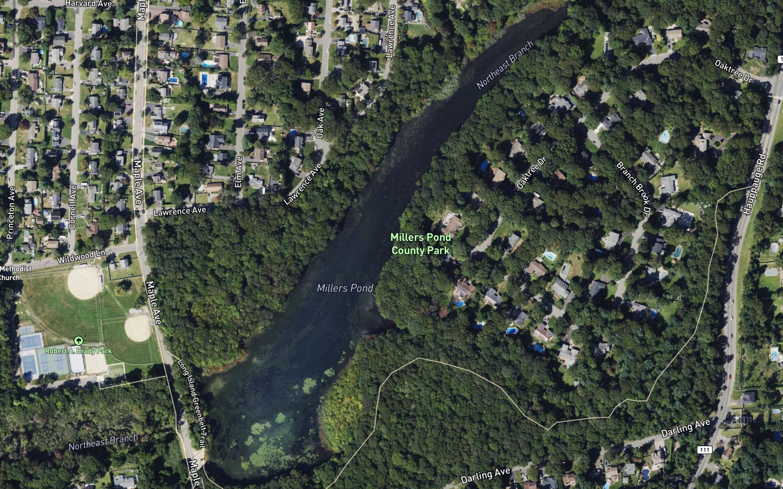Millers Pond