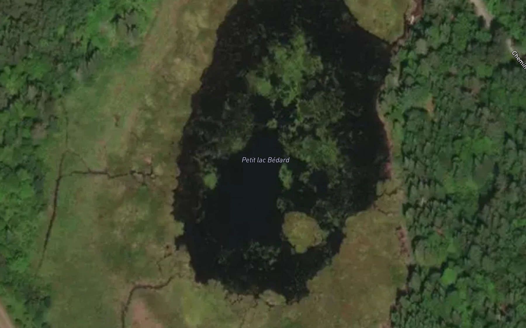 Satellite map of the Petit lac Bedard