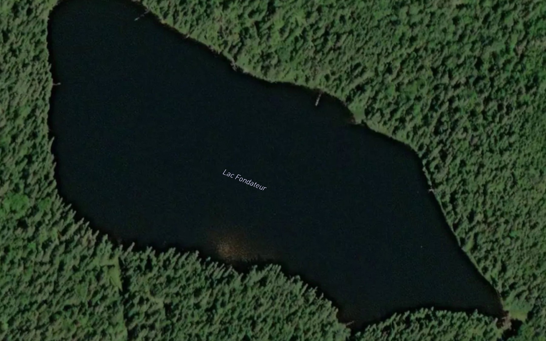 Satellite map of the Lac Fondateur