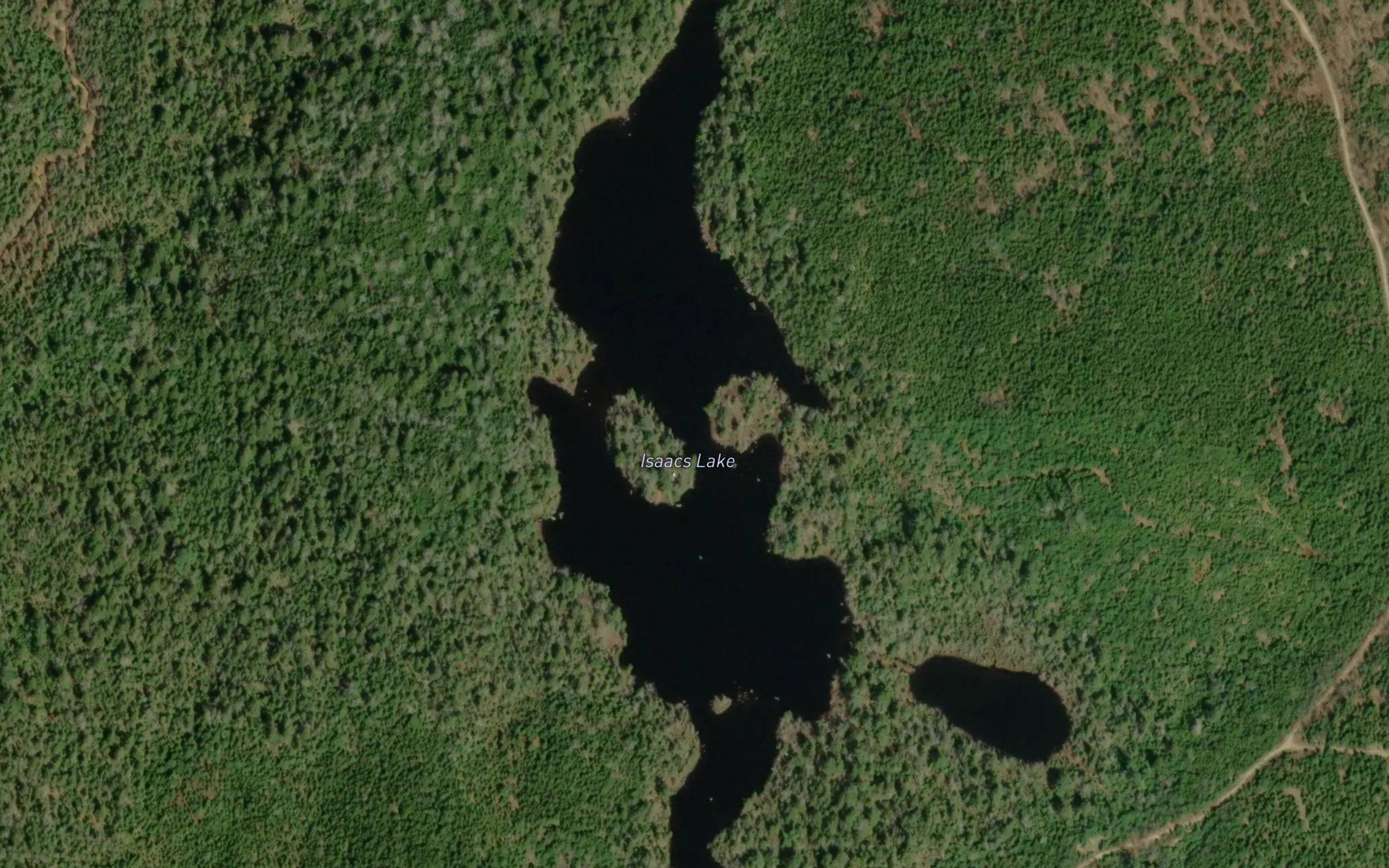 Isaacs Lake