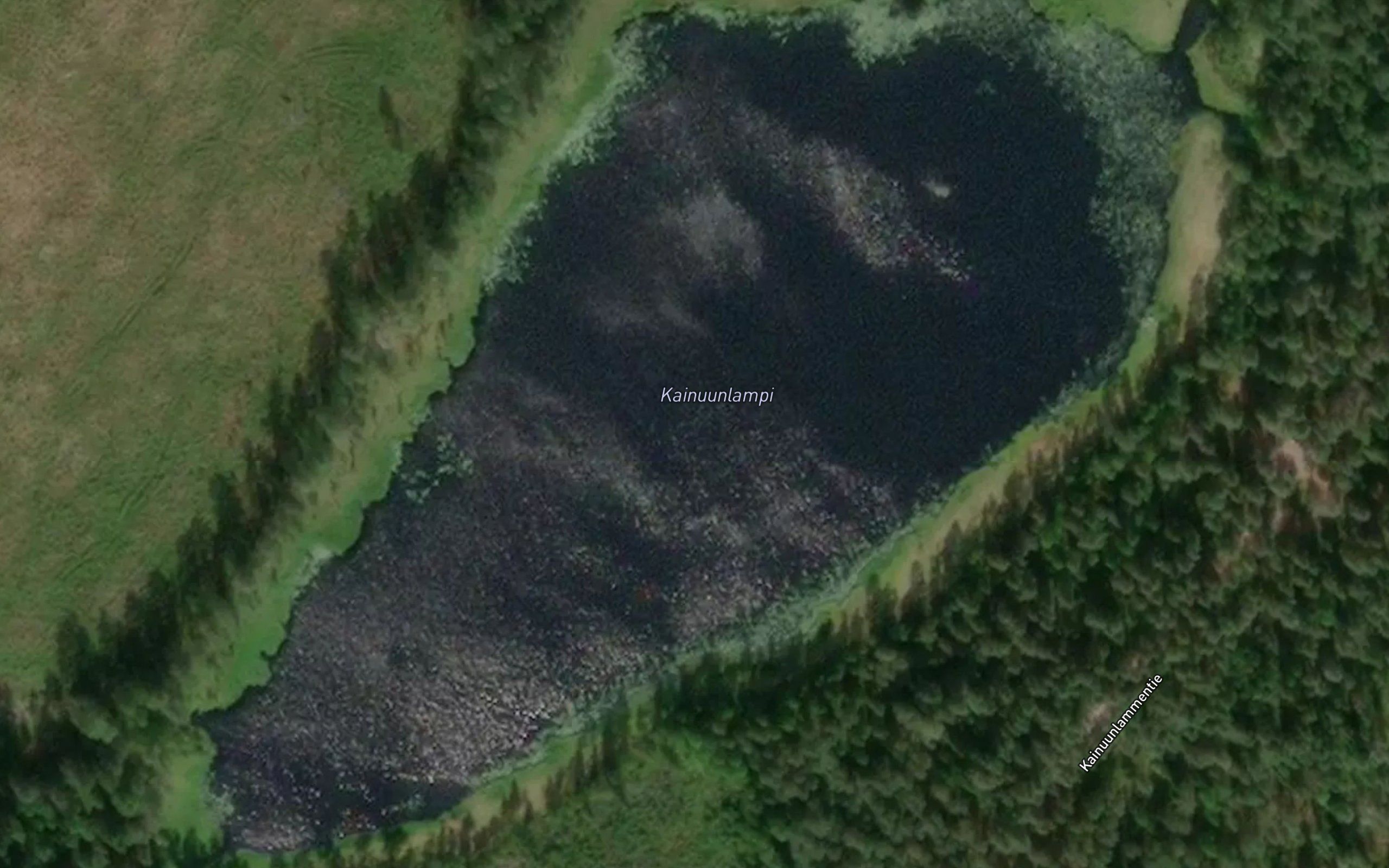 Kainuunlampi