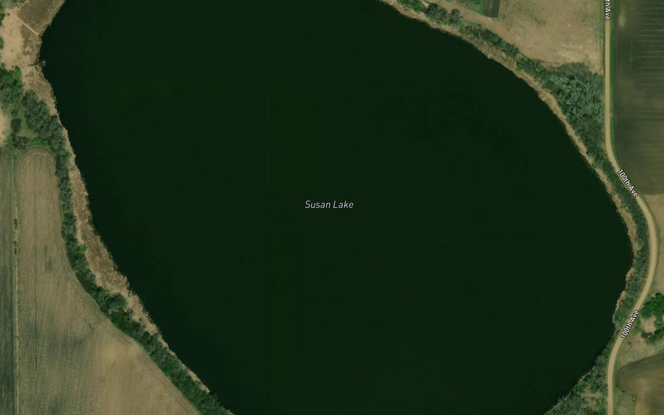Susan Lake