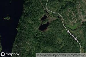 Mauretjorn