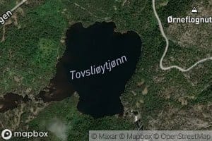Tovslioytjorn