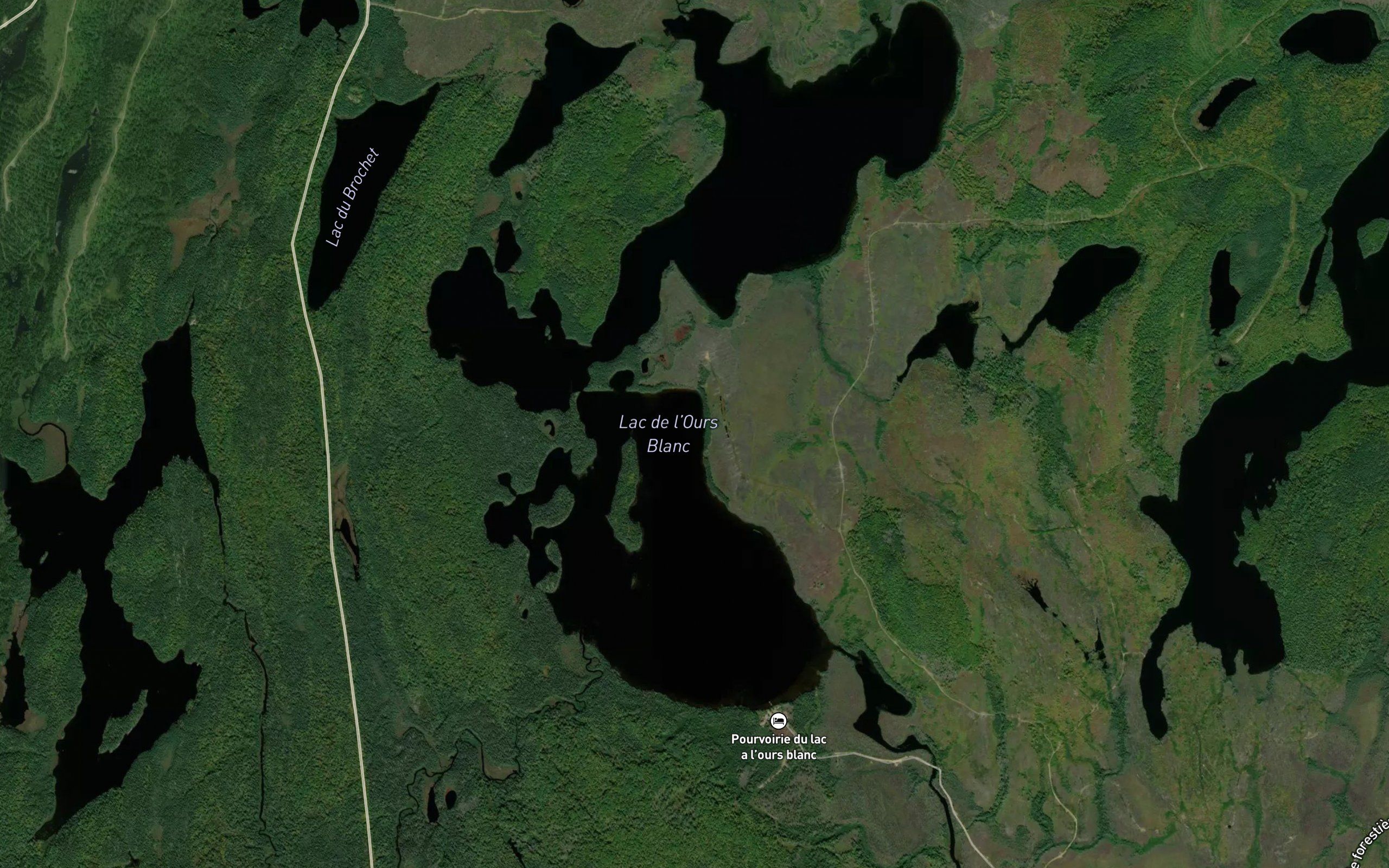 Lac de l'Ours Blanc