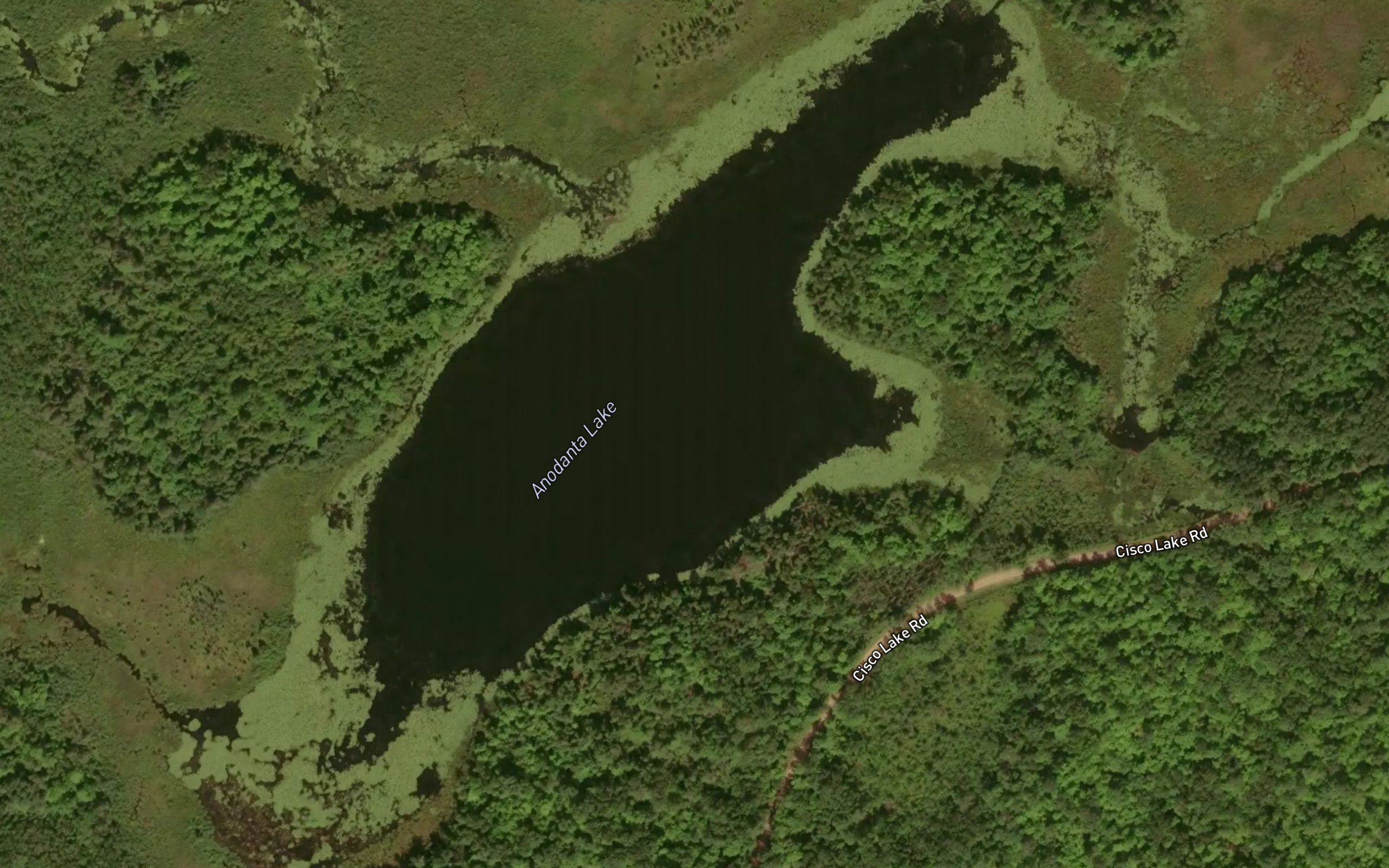 Anodanta Lake