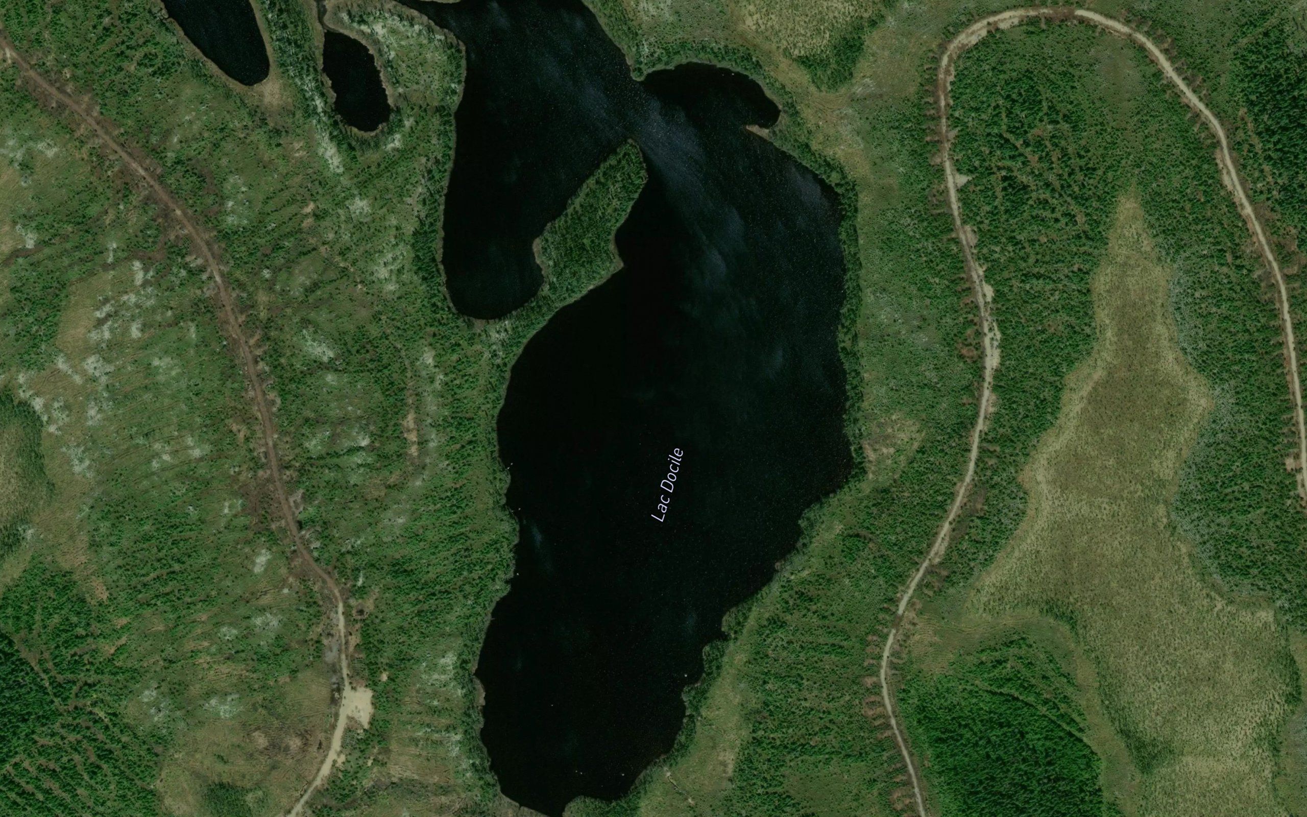 Lac Docile