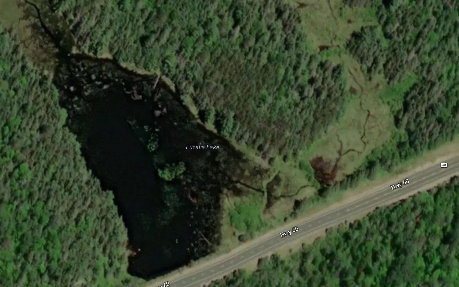 Satellite map of the Eucalia Lake