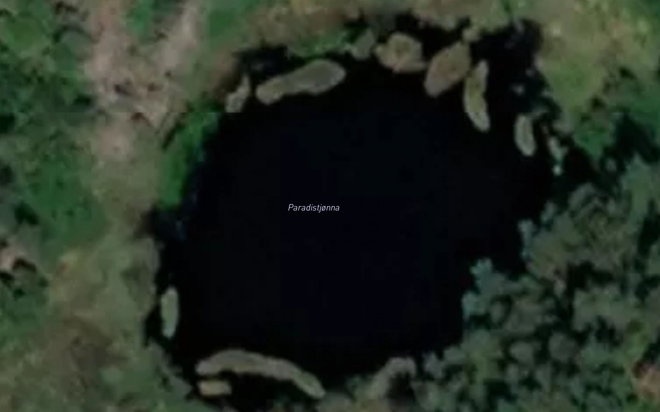 Paradistjonna