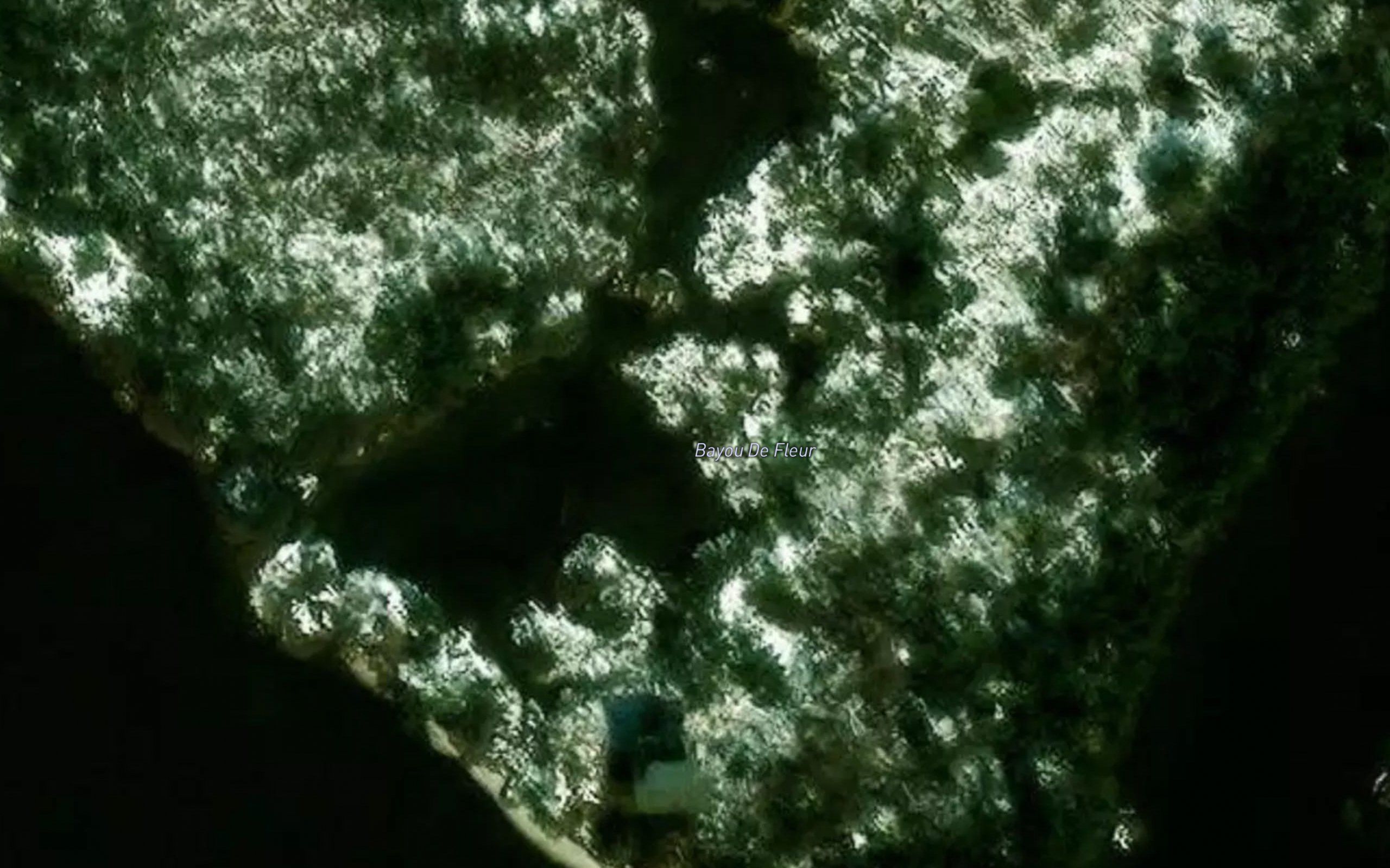 Bayou de Fleur