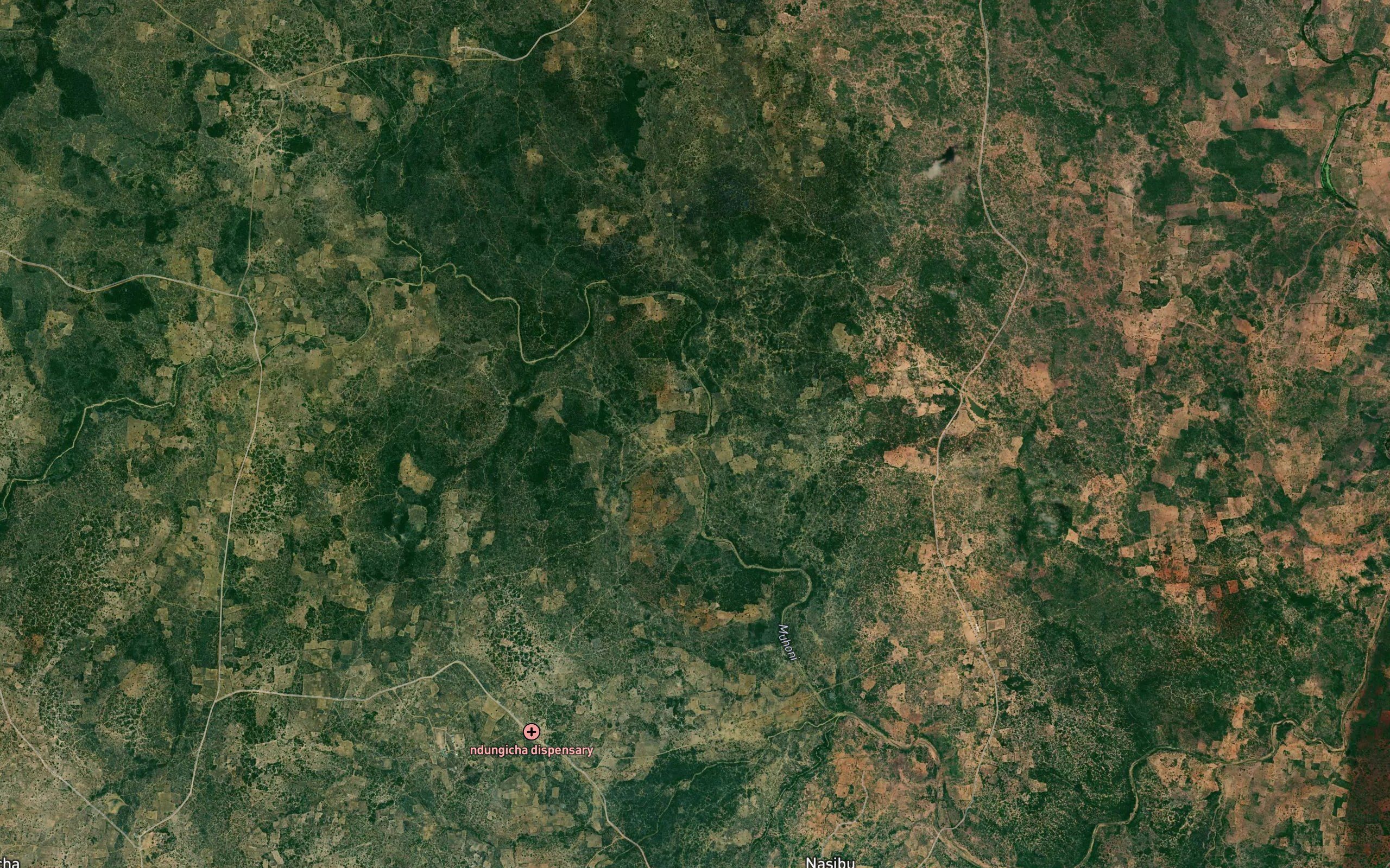 Waravu
