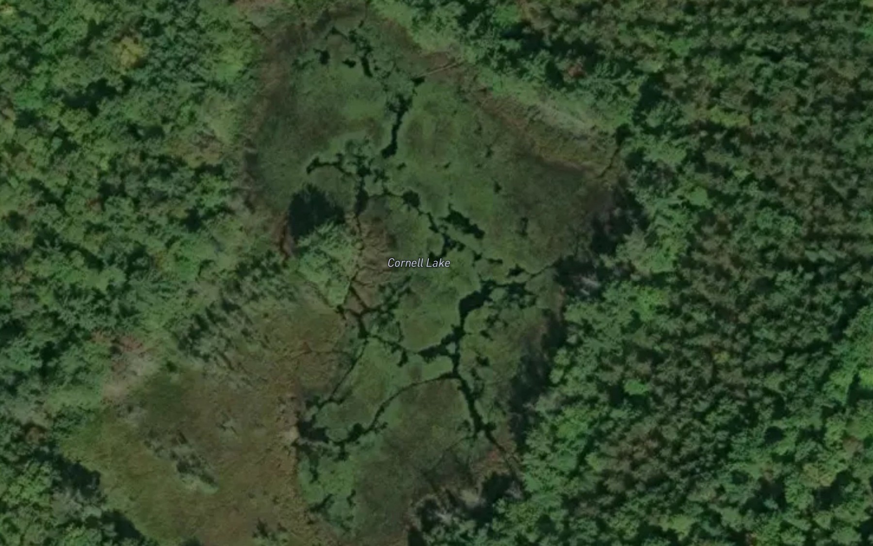 Satellite map of the Cornell Lake