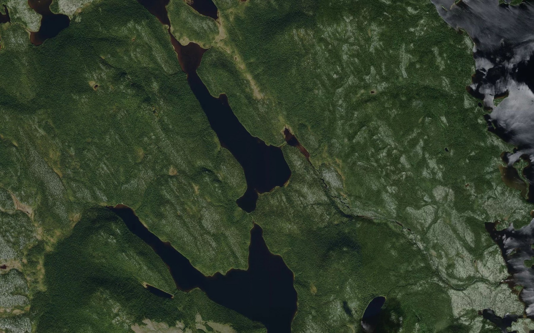 Satellite map of the Lac Leduc