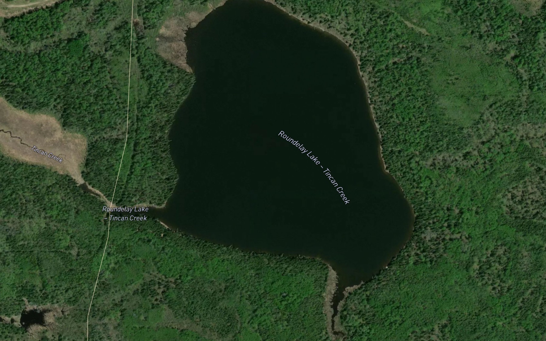 Satellite map of the Roundelay Lake