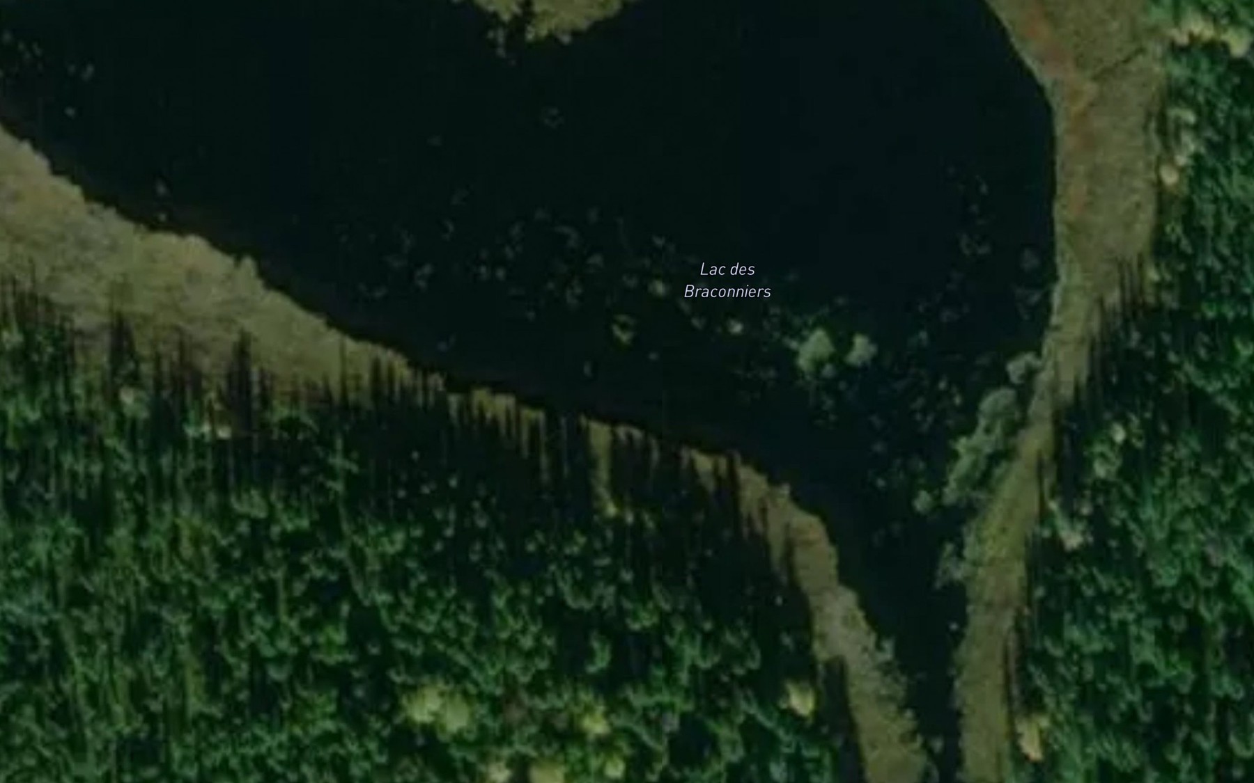 Satellite map of the Lac des Braconniers