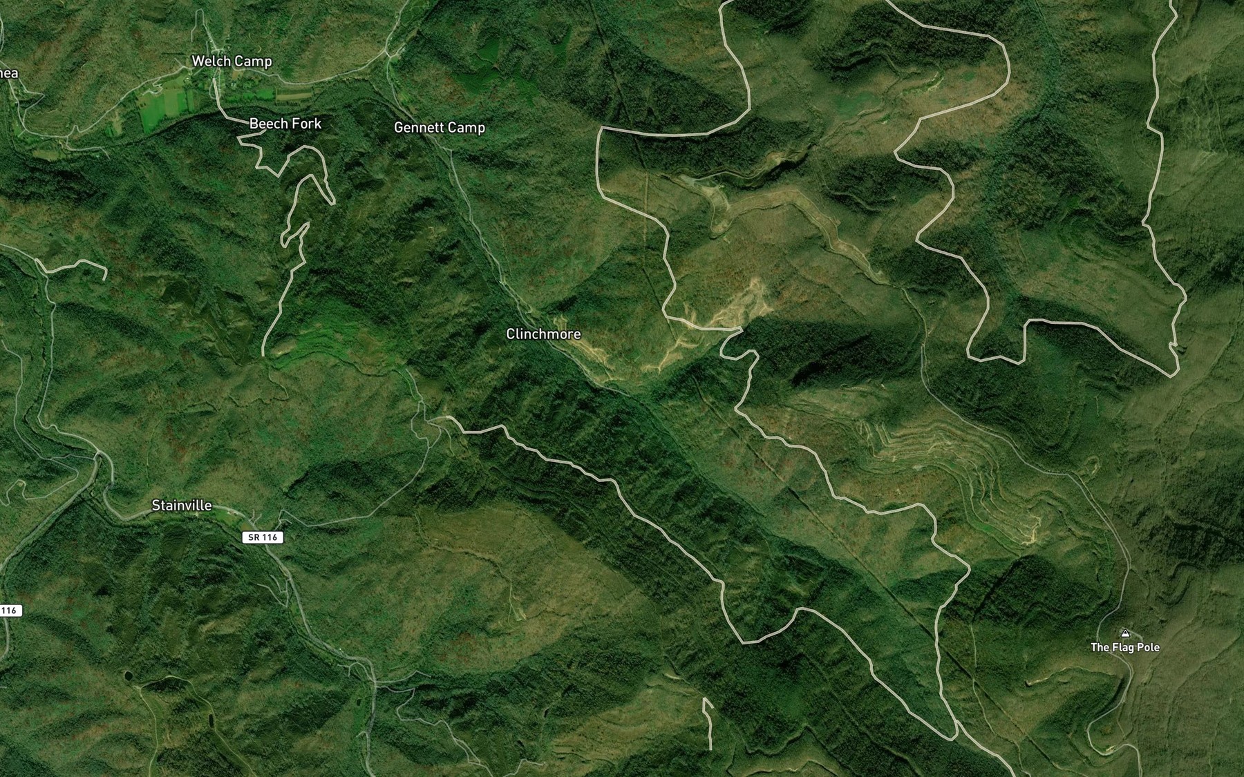 Satellite map of the Ward Branch