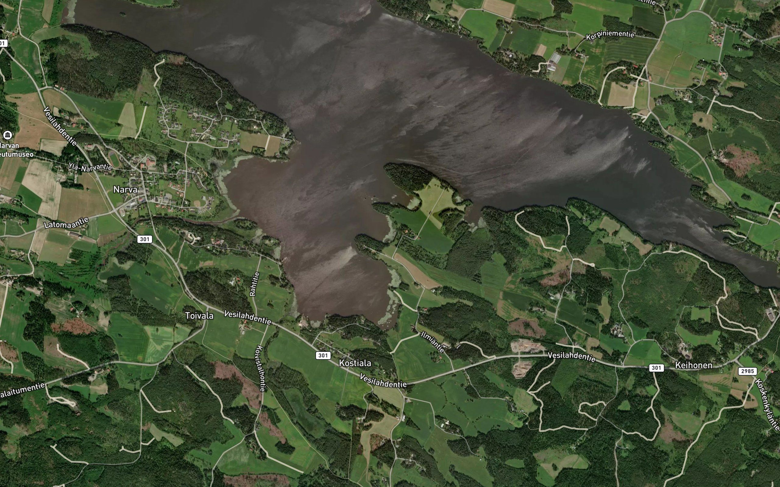 Joutsenoja
