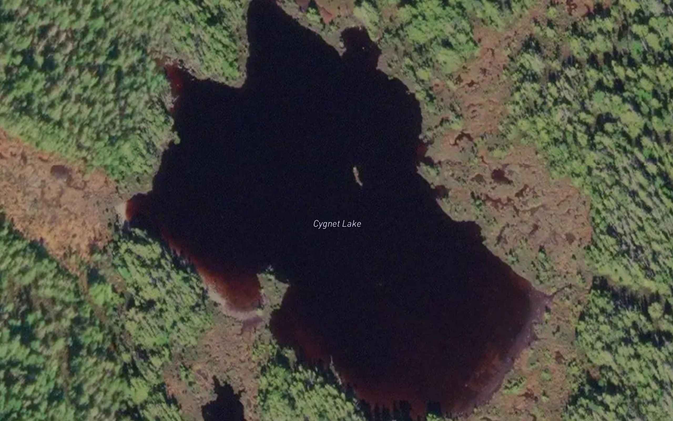 Cygnet Lake