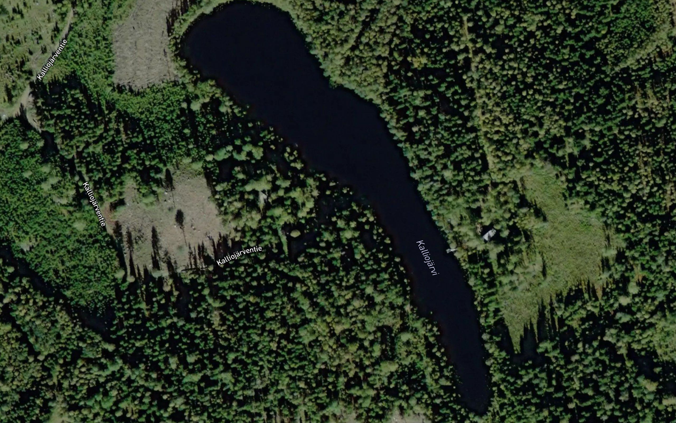 Kalliojarvi