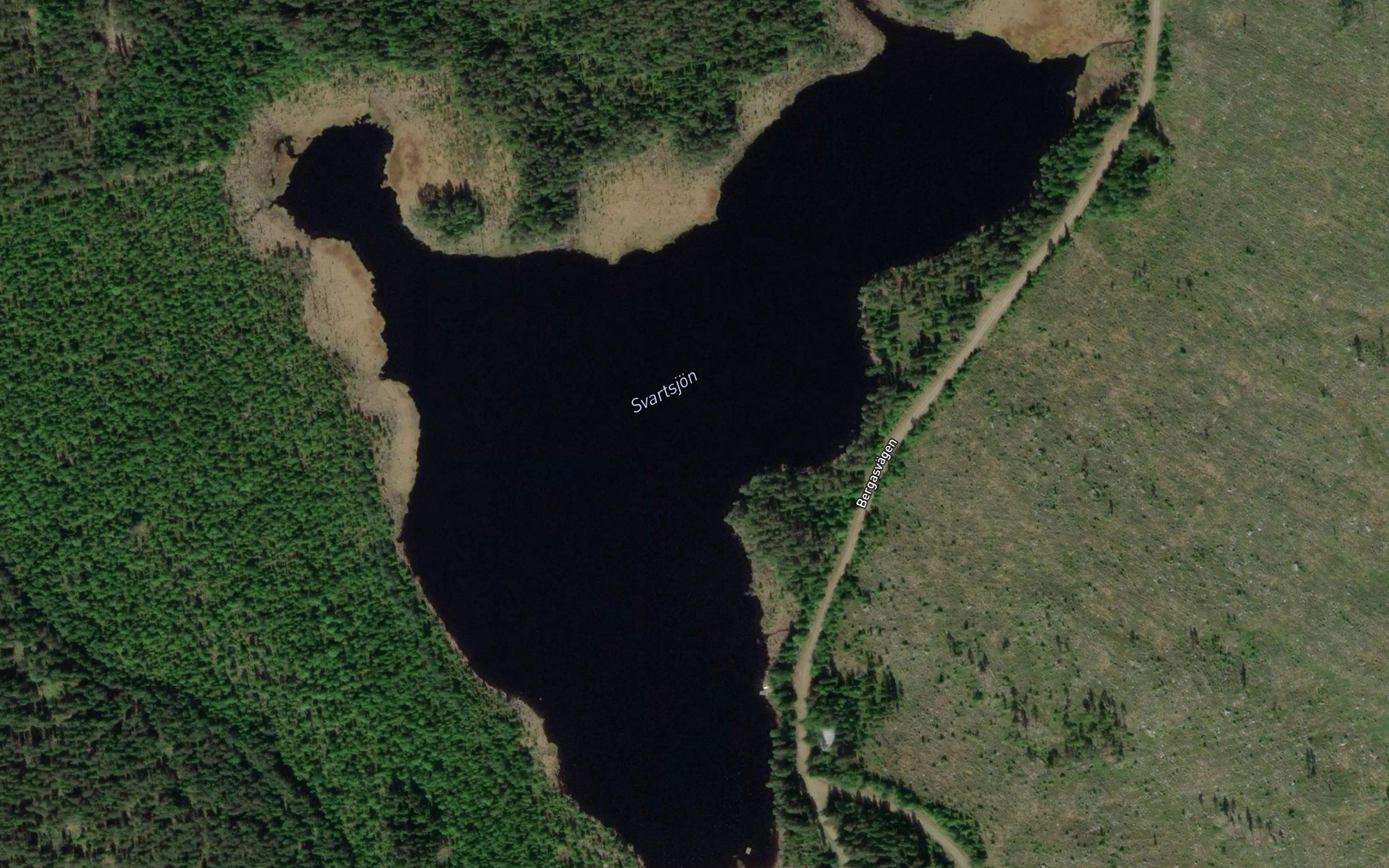 Svartsjoen